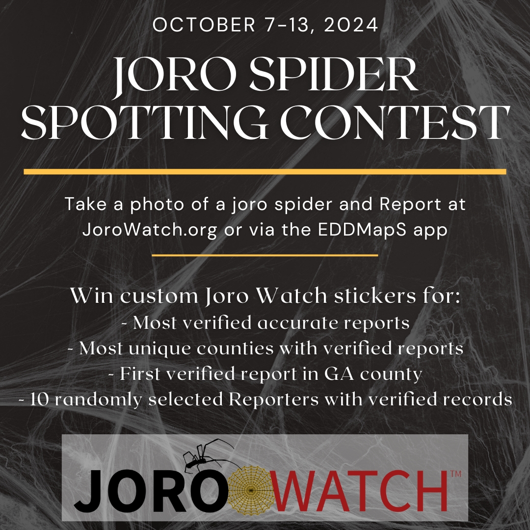 Graphic for "Joro Spider Spotting Contest, October 7-13, 2023." It encourages readers to "take a photo and Report at JoroWatch.org or via the EDDMapS app. Win custom Joro Watch stickers for: Most verified accurate reports, most unique counties with verified reports, first verified report in GA county, 10 randomly selected Reporters with verified records."